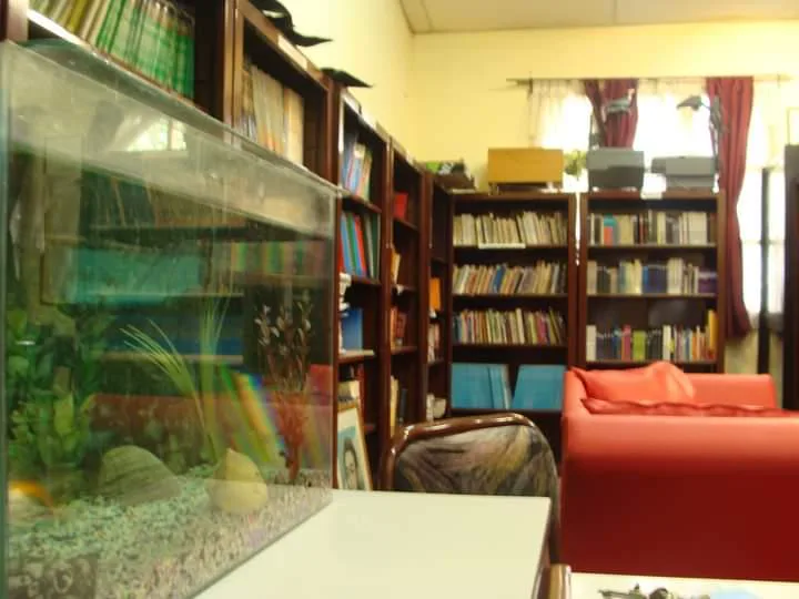 Estantes y libros de la biblioteca escolar